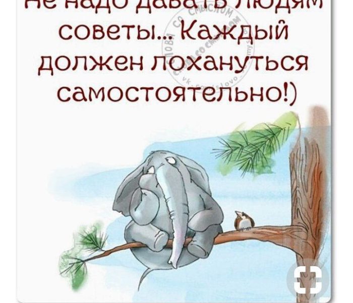 Никогда не советуй