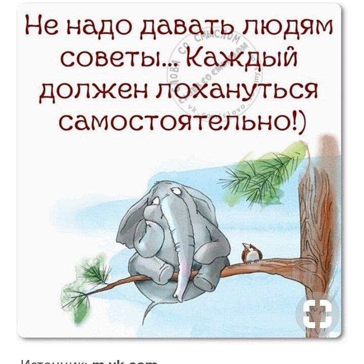 Никогда не советуй