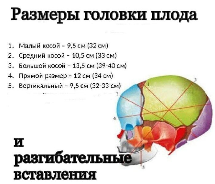 Размеры головки плода и разгибательные вставления.