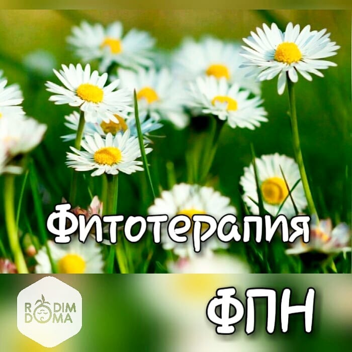Фитотерапия ФПН