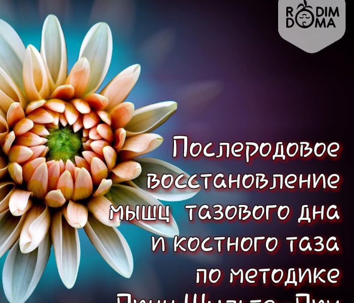 Методика Линн Шульте-Лич