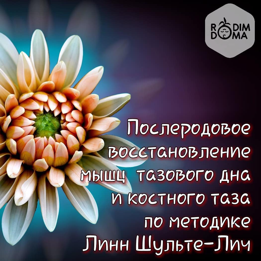 Методика Линн Шульте-Лич