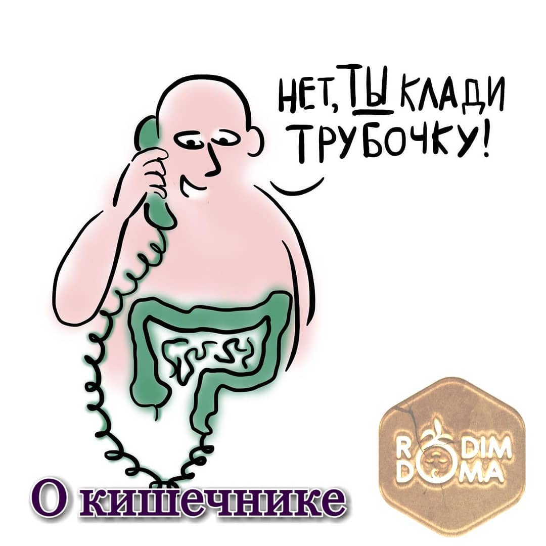 О кишечнике