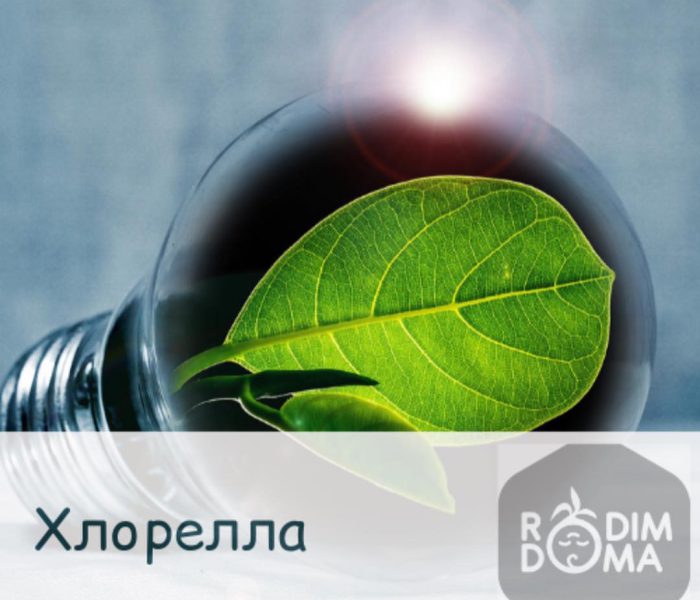 Хлорелла