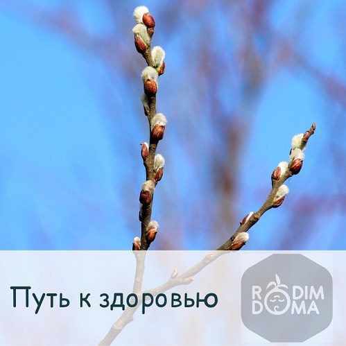 Путь к здоровью