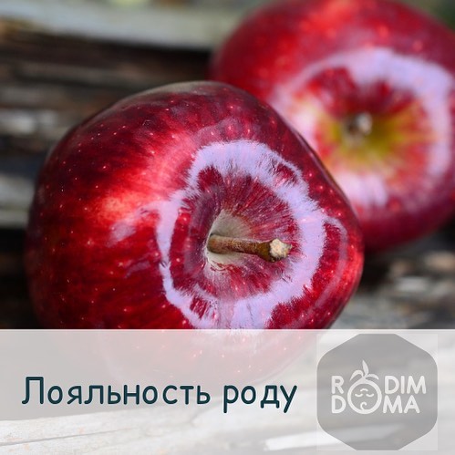 Лояльность роду