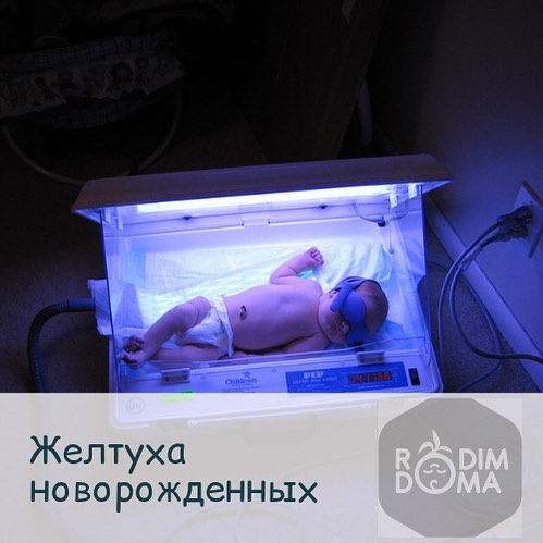 Желтуха новорожденных