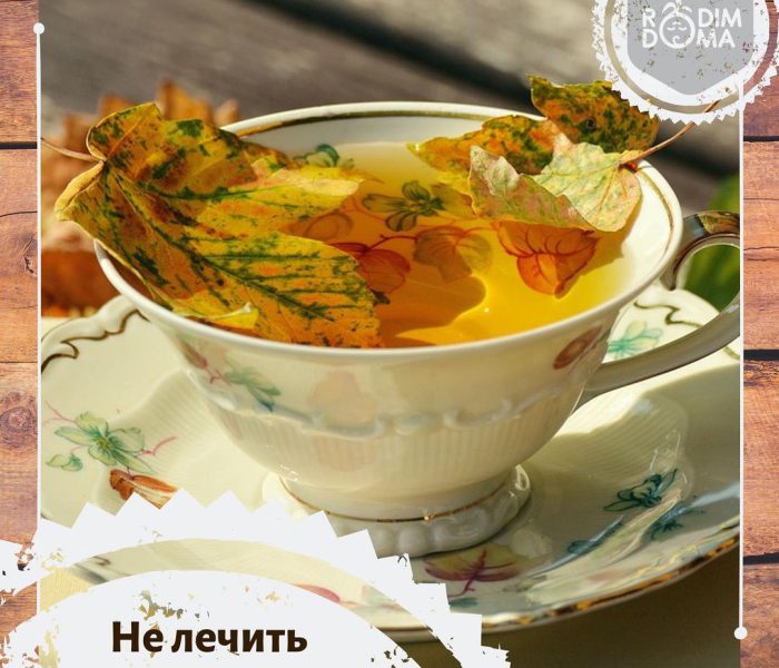 Не лечить анемию…