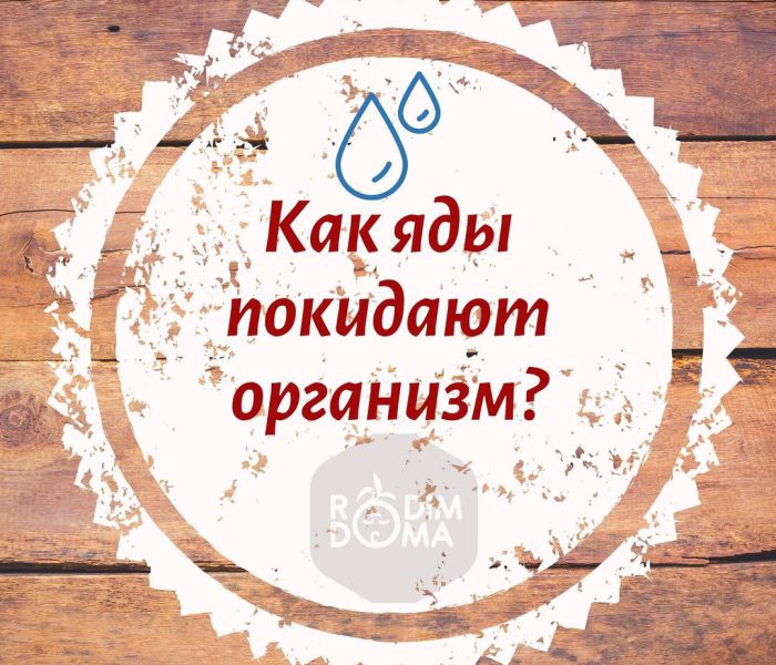 Как яды покидают организм?
