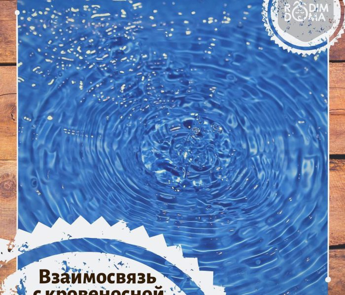 Взаимосвязь с кровеносной системой
