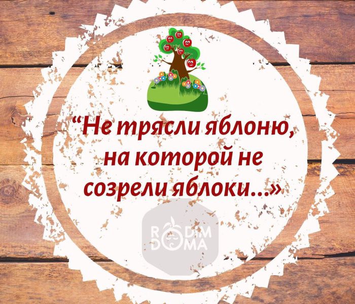 Не тряси яблоню, на которой не созрели яблоки…