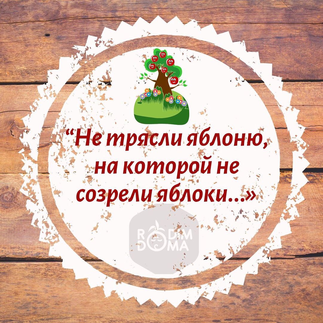Не тряси яблоню, на которой не созрели яблоки…