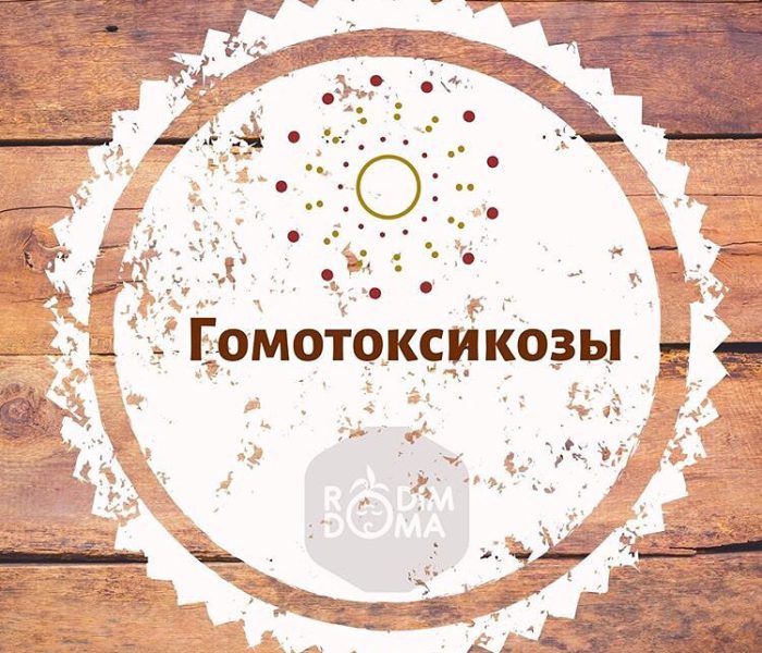 Гомотоксикозы